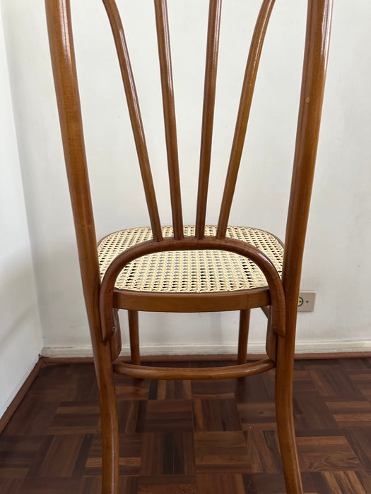 Mesa de Jantar com 8 Cadeiras – Thonet