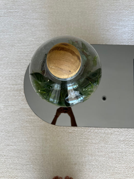 Mesa de Centro “Caetano” – Giacomo Tomazzi para Breton