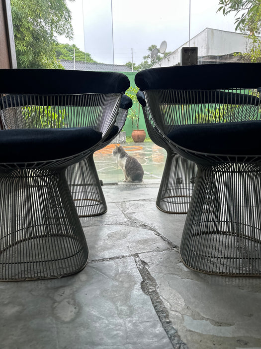 Conjunto de 4 Cadeiras "Platner" - Warren Platner para Forma 1977