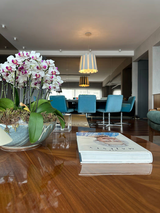 Conjunto de 8 Cadeiras Giratórias "Charly" (2 com braços) – Fahrer