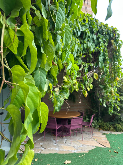 Mesa de Jantar "Tropical" com  6 Cadeiras "Chá Verde" em Corda Náutica - Líder Interiores