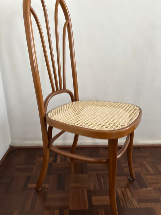 Mesa de Jantar com 8 Cadeiras – Thonet