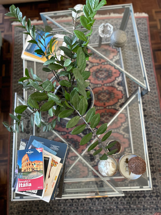 Mesa de Centro em Vidro e Aço