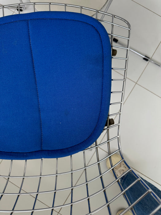 Conjunto de 4 Cadeiras "Bertoia" com Assento Azul