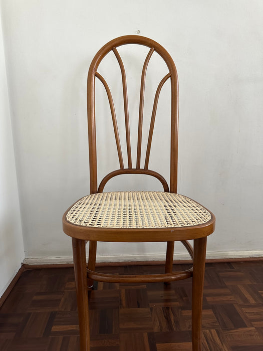 Mesa de Jantar com 8 Cadeiras – Thonet