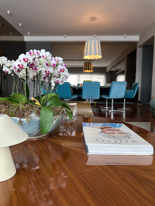 Conjunto de 8 Cadeiras Giratórias "Charly" (2 com braços) – Fahrer