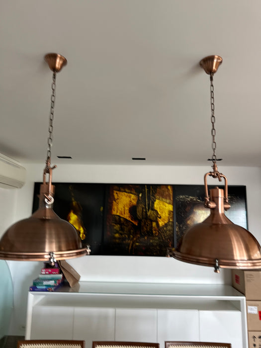 Par de Pendentes Industriais