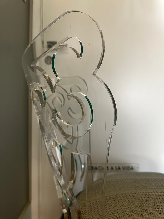 Par de Cadeiras com Encosto em Acrílico