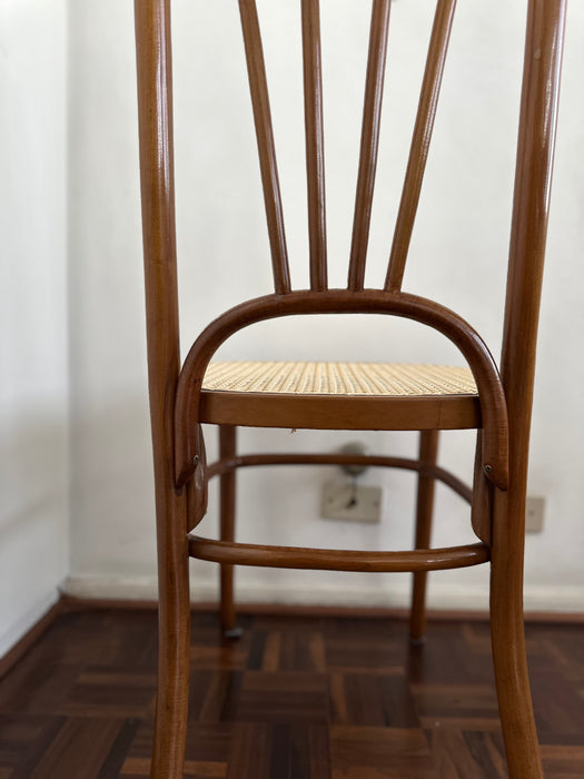 Mesa de Jantar com 8 Cadeiras – Thonet