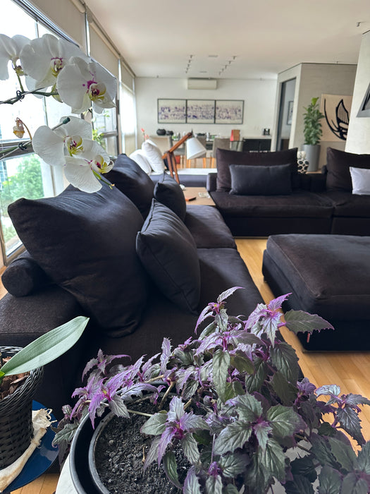 Sofá "Groundpiece" com Pufe – Antonio Citterio para Flexform