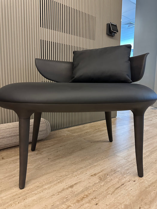 Chaise “Munick” Ebanizadas – Jader Almeida