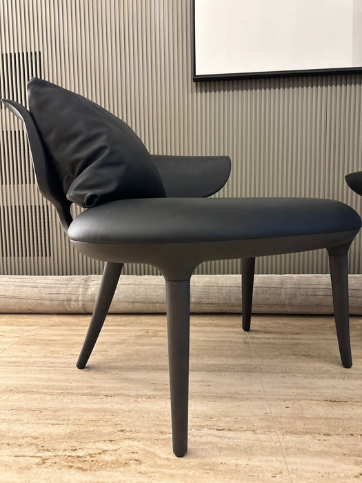 Chaise “Munick” Ebanizadas – Jader Almeida
