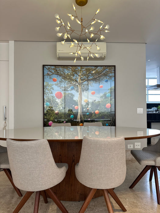 Fotografia “Amazônia #1” Lago Janauari, Árvore Sumaúma (2019) - Flávia Junqueira